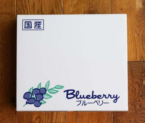 【予約販売受付中】農薬不使用仙台市秋保産生ブルーベリー合計480g/化粧箱冷蔵配送